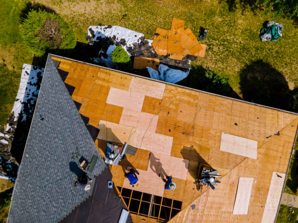 Best Flat Roof Repair Services  in Springville, IA