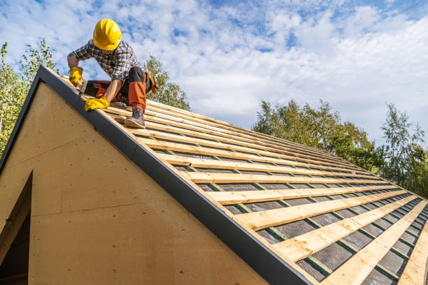Best Roof Maintenance Services  in Springville, IA